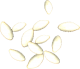 Zucchini seeds2.png