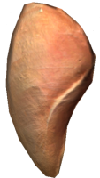 Raw Chicken Breast.png