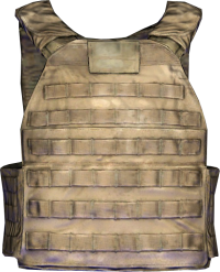 Plate Carrier.png