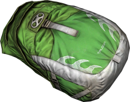 Green Taloon Backpack.png