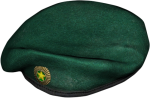 Chernarussian Defence Forces Military Beret.png