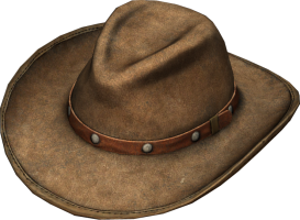 Brown Cowboy Hat.png