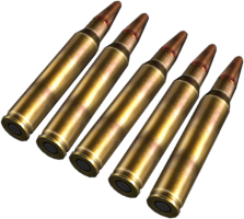 5.56mm Rounds.png