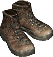 Hiking Boots Brown.png
