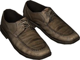 Leather Shoes Beige.png