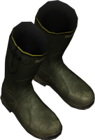 Wellies Green.png