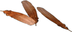 Chicken feather.png