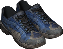 Low Hiking Boots Blue.png